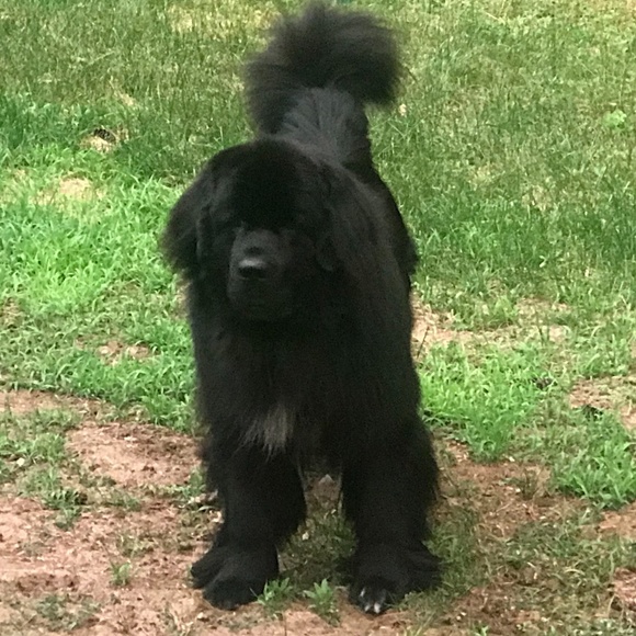 Meet your Posher, SjC - Picture 14 of 16